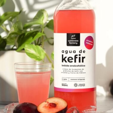 Agua de Kefir Ciruela e Hibiscos 330ml