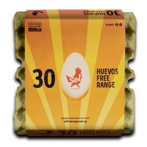 Huevos Sol free range x30